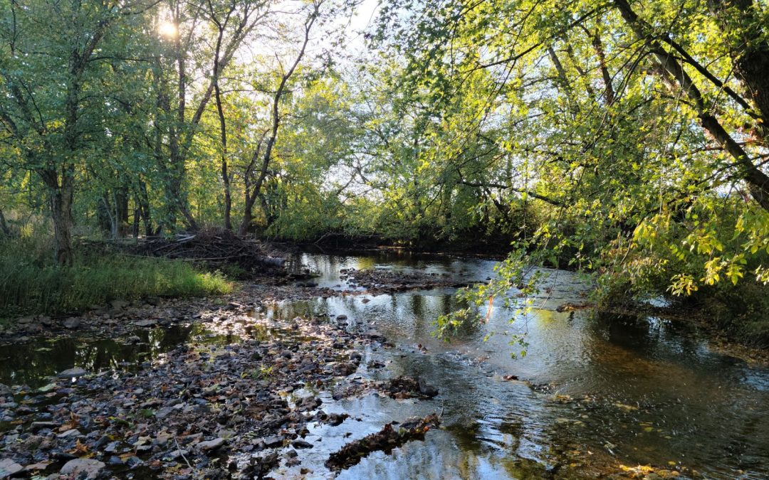 Conewago-Creek-_-Credit-Jenn-Teson